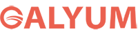 Galyum Logo